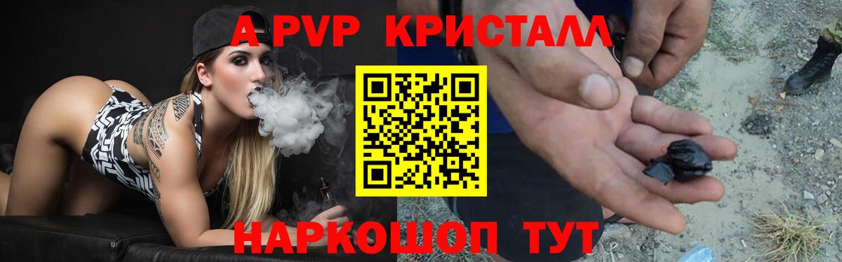 A PVP СК КРИС Петропавловск-Камчатский