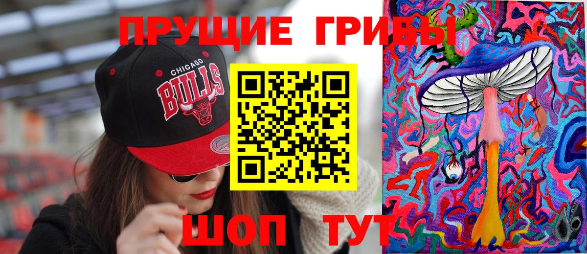 Петропавловск-Камчатский  Псилоцибиновые грибы MAGIC MUSHROOMS  Вход с VPN 