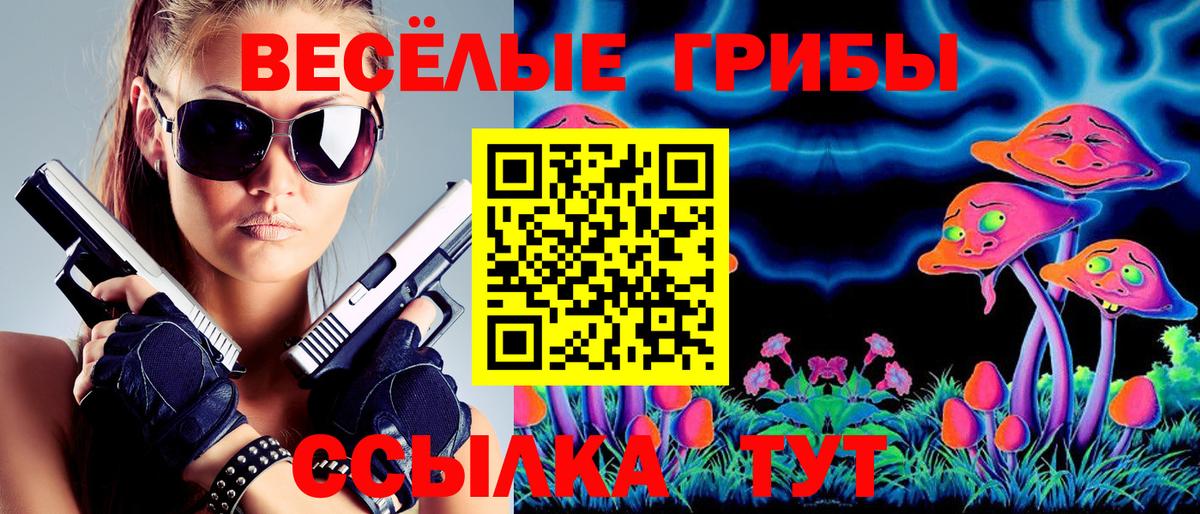 Псилоцибиновые грибы мухоморы Петропавловск-Камчатский